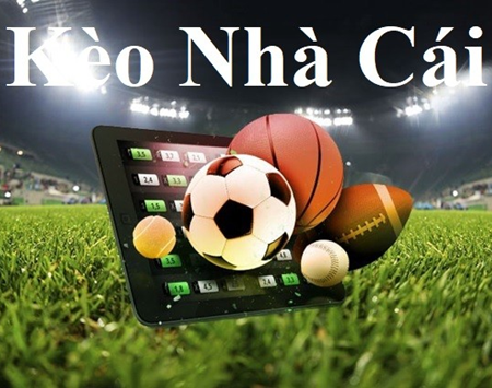 Các Trang Cá Cược Gaming Platform Đa Quốc Gia